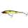 703 Hot Shad