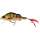 023 Bling Perch