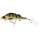 087 Dull Perch