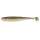 Gold Flash Minnow