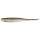 Silver Flash Minnow