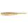 Golden Shiner