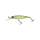 Lime Chart Tiger