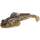 Natural Goby