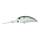 American Shad